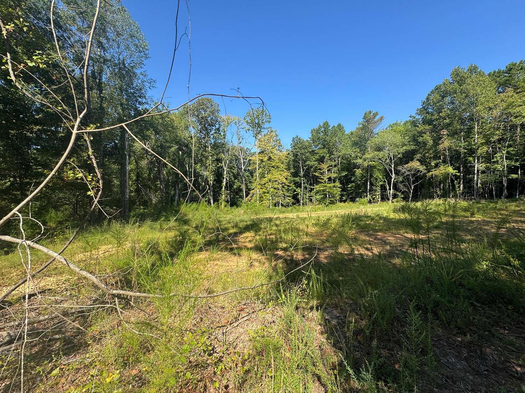 7 Acres of Residential Land for Sale in Hamilton, Alabama