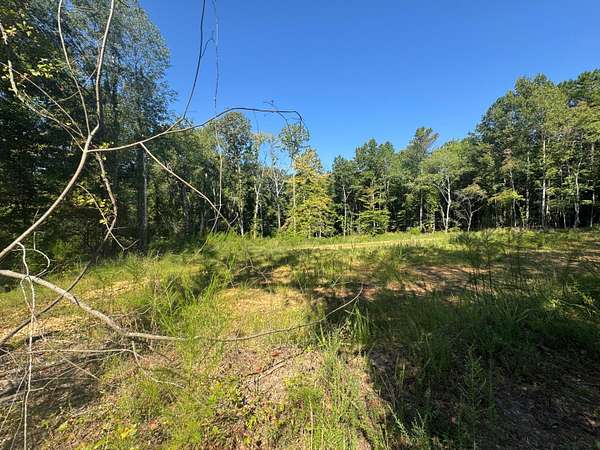 7 Acres of Residential Land for Sale in Hamilton, Alabama