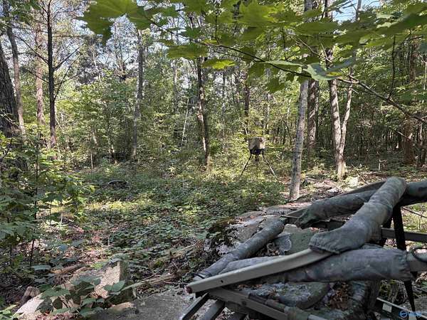 20.5 Acres of Recreational Land for Sale in Stevenson, Alabama