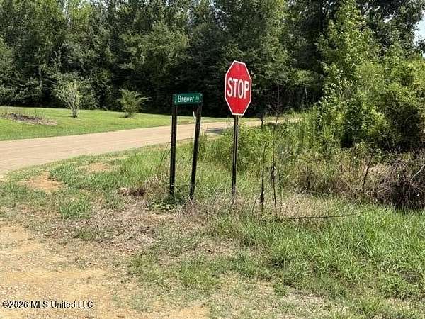 20 Acres of Agricultural & Residential Land for Sale in Forest, Mississippi