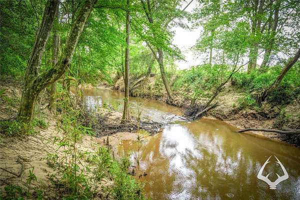 16.4 Acres of Recreational Land for Sale in Hemphill, Texas