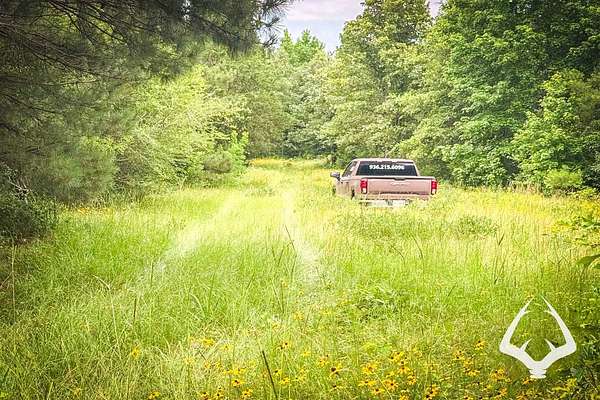 17 Acres of Recreational Land for Sale in Tenaha, Texas