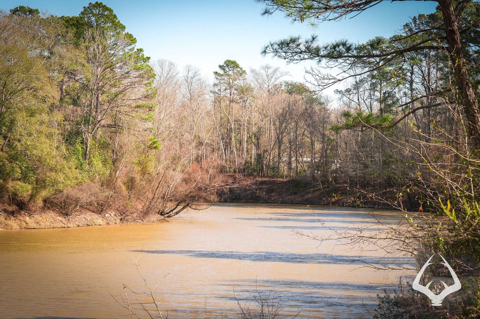 7 Acres of Recreational Land for Sale in Colmesneil, Texas