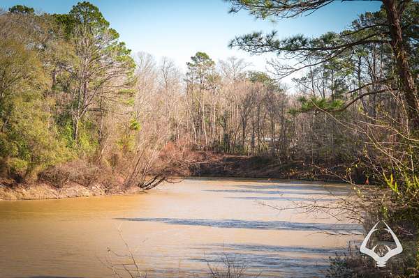 7 Acres of Recreational Land for Sale in Colmesneil, Texas