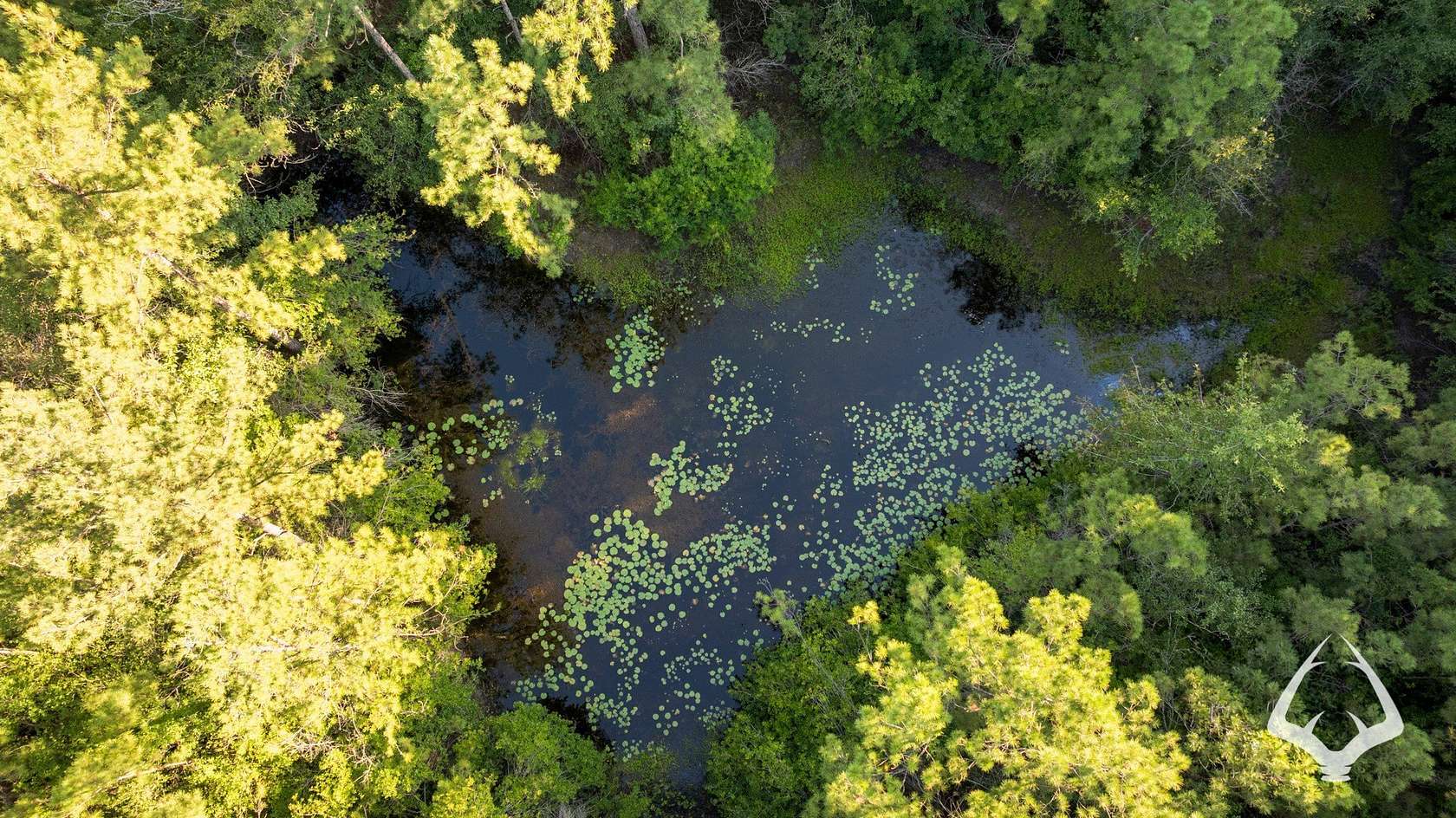 2.66 Acres of Land for Sale in Newton, Texas