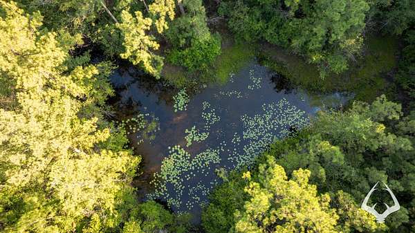 2.66 Acres of Land for Sale in Newton, Texas