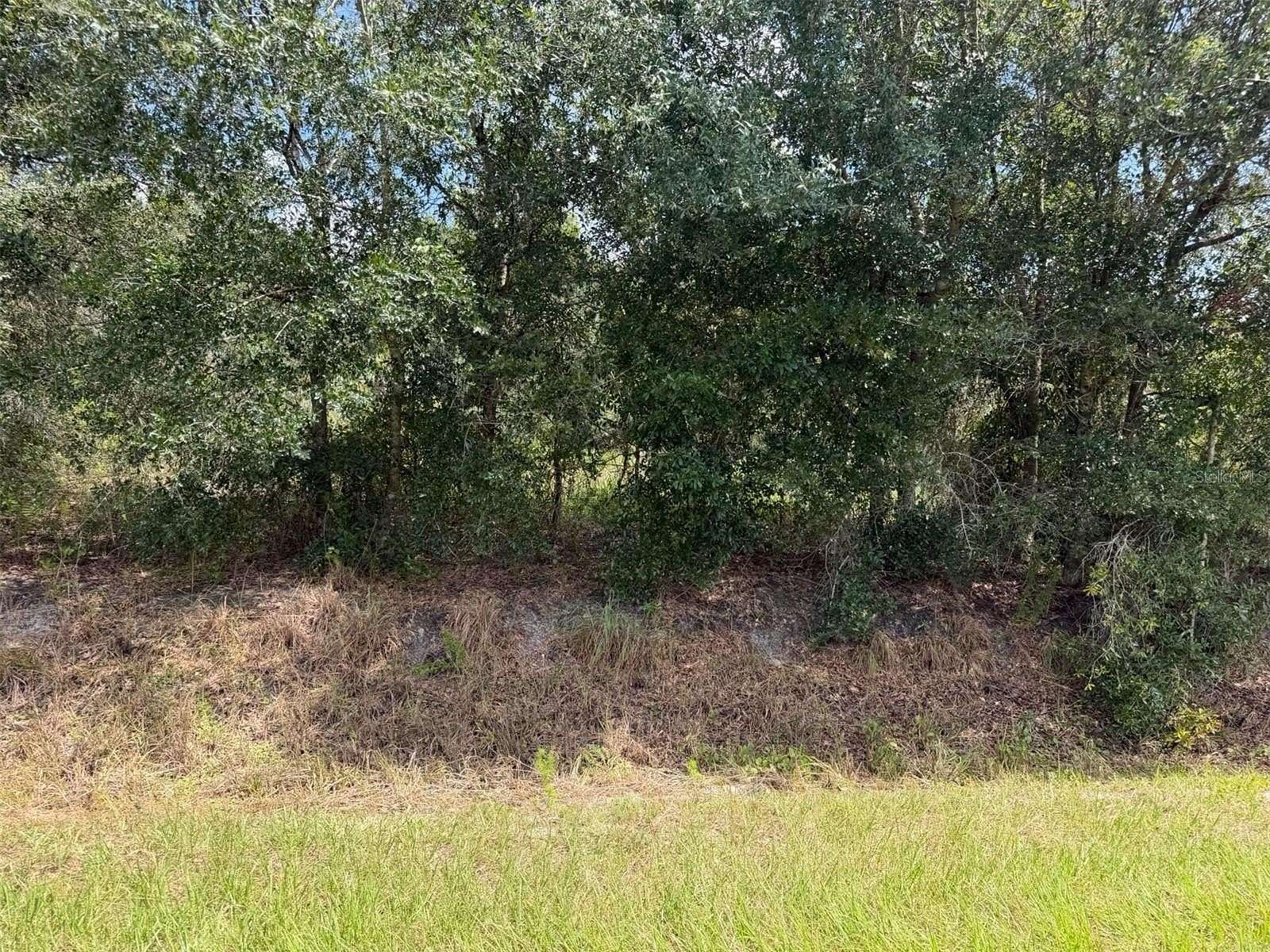 1.25 Acres of Residential Land for Sale in Okeechobee, Florida