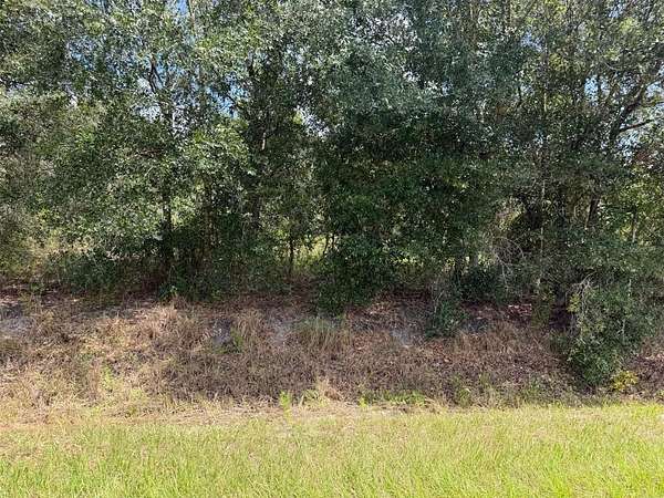 1.25 Acres of Residential Land for Sale in Okeechobee, Florida