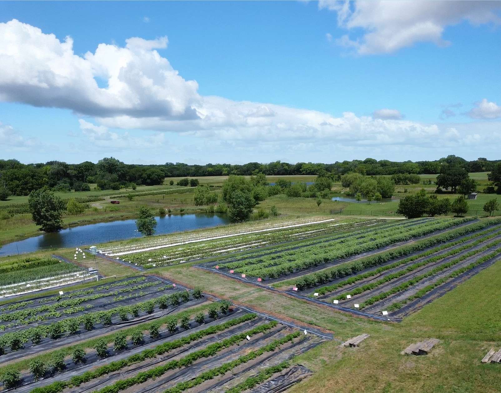28 Acres of Land for Sale in McKinney, Texas
