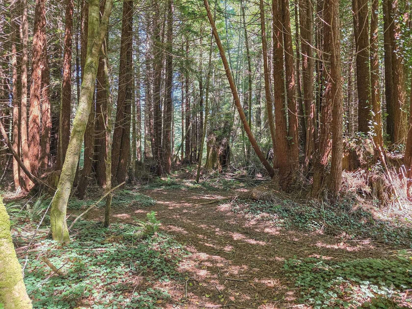 1 Acre of Land for Sale in Crescent City, California