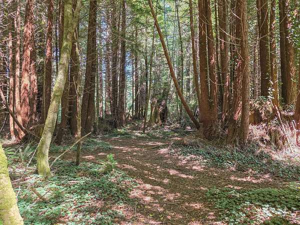 1 Acre of Land for Sale in Crescent City, California