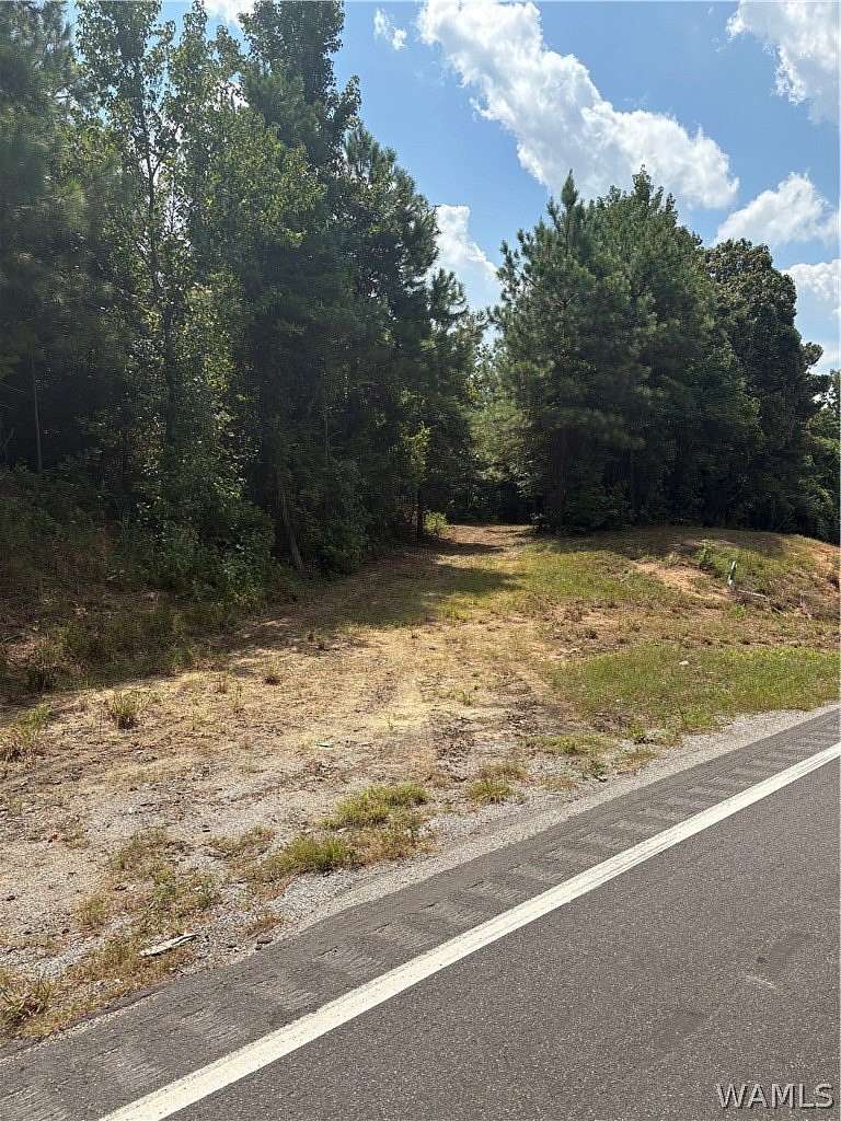 12.4 Acres of Land for Sale in Fayette, Alabama