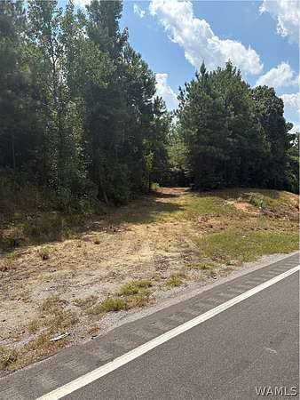 12.4 Acres of Land for Sale in Fayette, Alabama