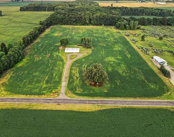20 Acres of Improved Land for Sale in Mulliken, Michigan