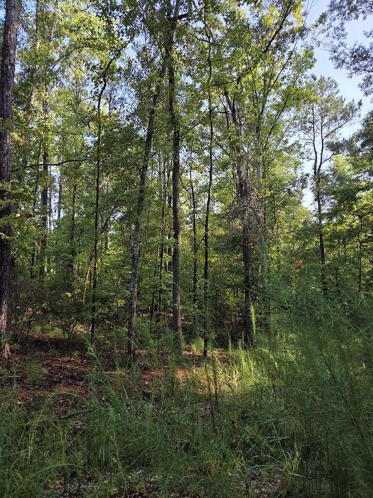 1.76 Acres of Residential Land for Sale in Fortson, Georgia