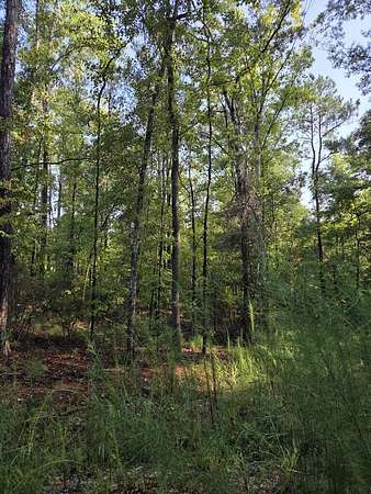 1.76 Acres of Residential Land for Sale in Fortson, Georgia