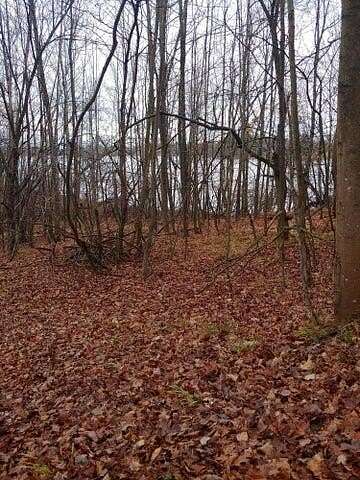 1.5 Acres of Residential Land for Sale in Evart, Michigan
