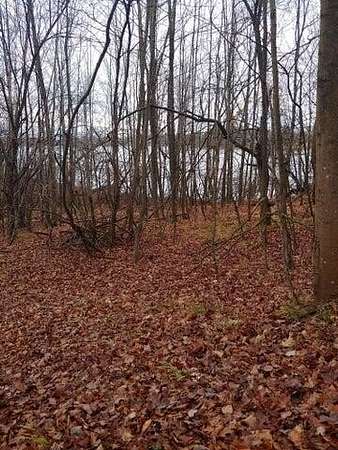 1.5 Acres of Residential Land for Sale in Evart, Michigan