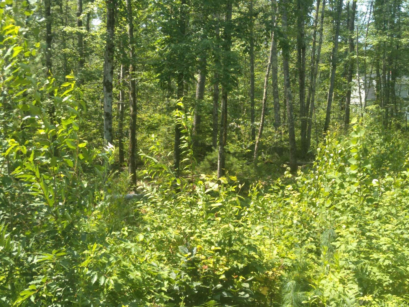 0.95 Acres of Residential Land for Sale in Sanford, Maine
