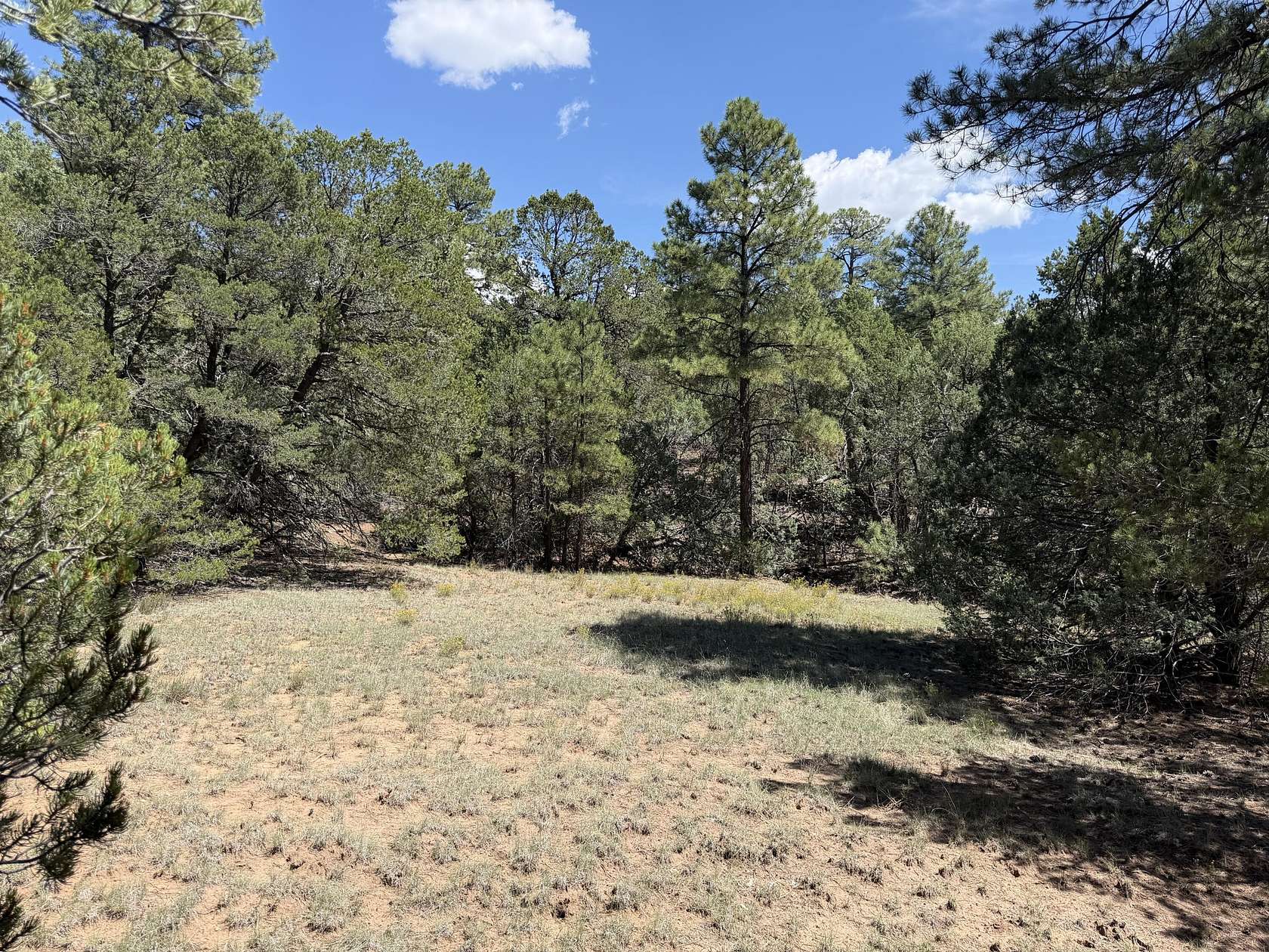 0.79 Acres of Land for Sale in Tijeras, New Mexico