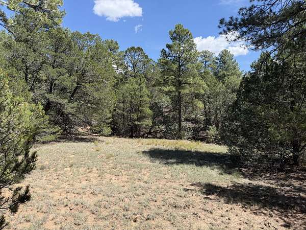 0.79 Acres of Land for Sale in Tijeras, New Mexico