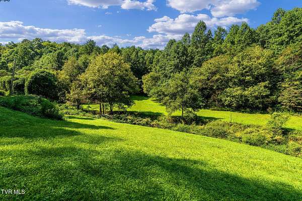62.8 Acres of Recreational & Residential Land for Sale in Del Rio, Tennessee
