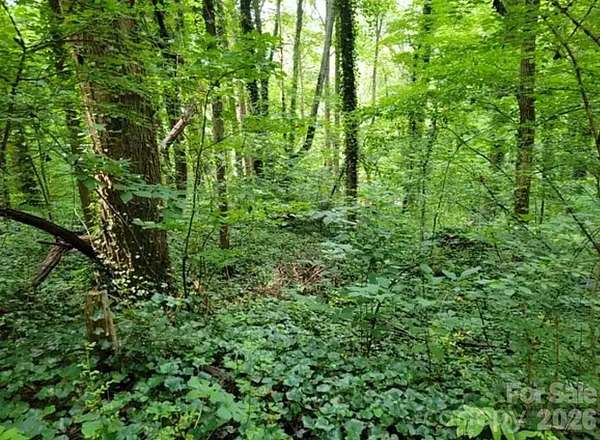 0.2 Acres of Residential Land for Sale in Hendersonville, North Carolina