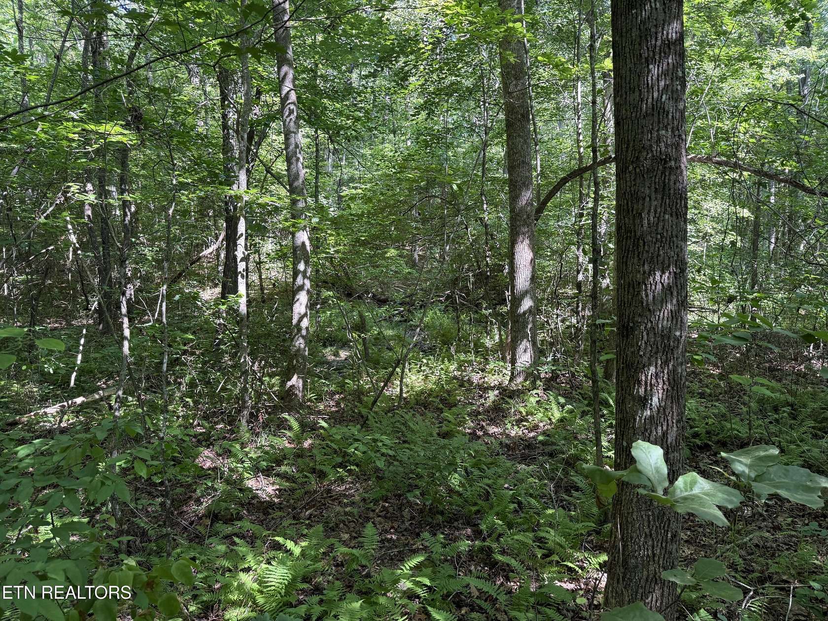 4 Acres of Residential Land for Sale in Monterey, Tennessee