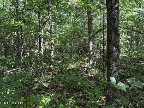 4 Acres of Residential Land for Sale in Monterey, Tennessee