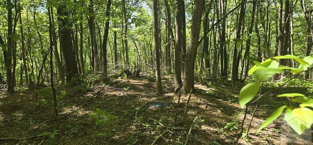 10.6 Acres of Land for Sale in Ararat, Virginia