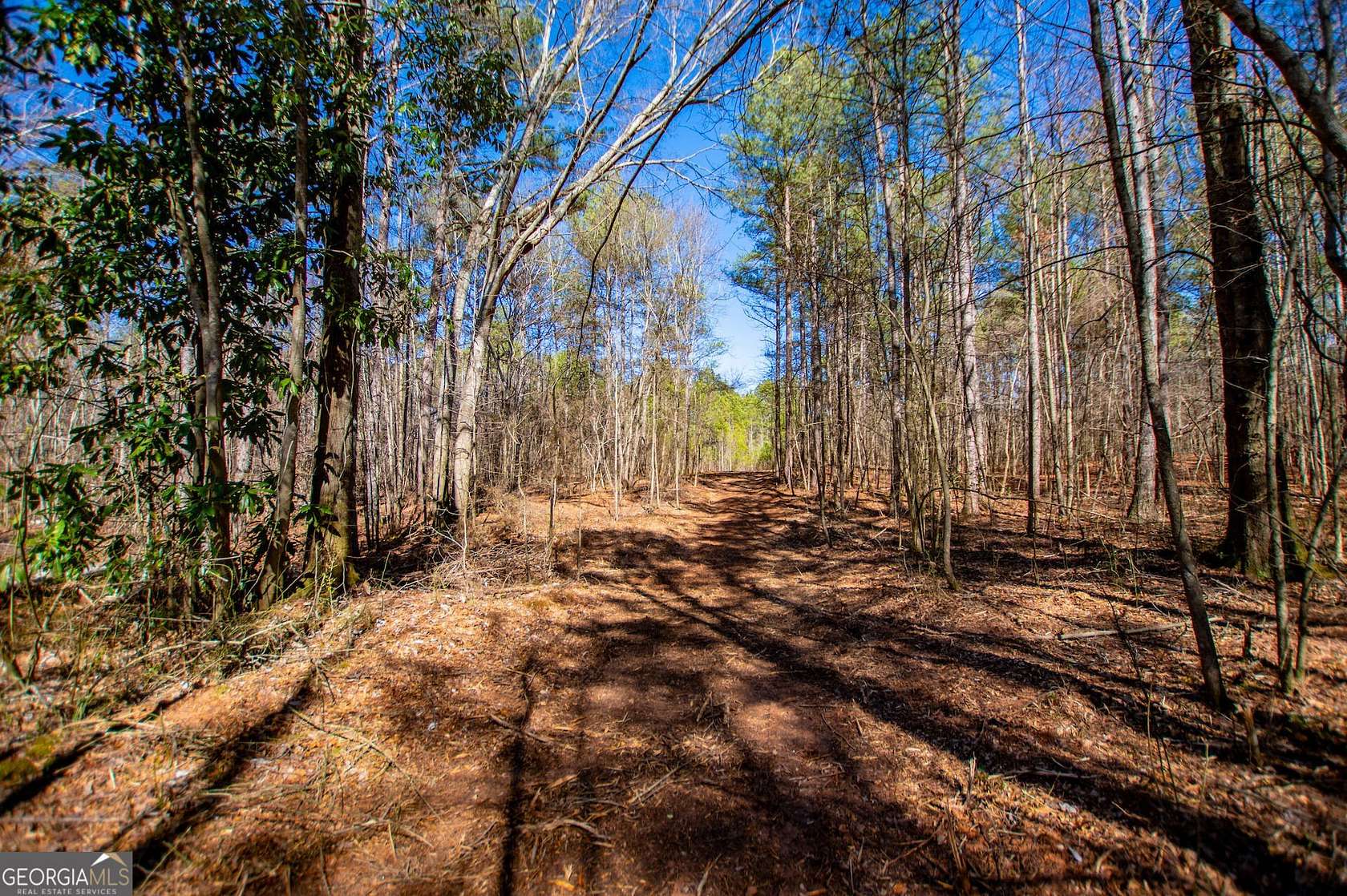 21.8 Acres of Recreational Land for Sale in Bowdon, Georgia