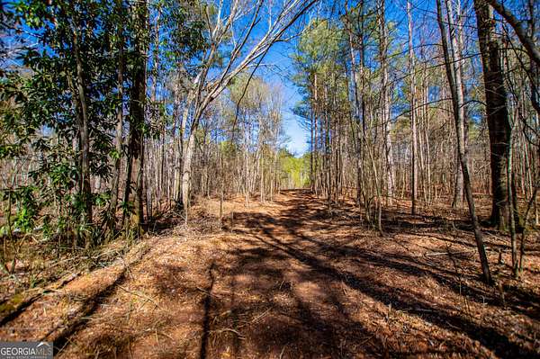 21.8 Acres of Recreational Land for Sale in Bowdon, Georgia