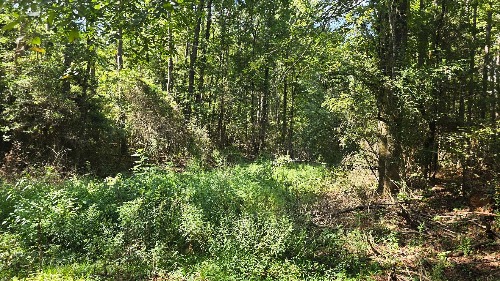 7.7 Acres of Land with Home for Sale in McCall Creek, Mississippi