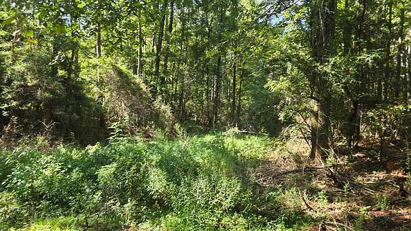 7.7 Acres of Land with Home for Sale in McCall Creek, Mississippi