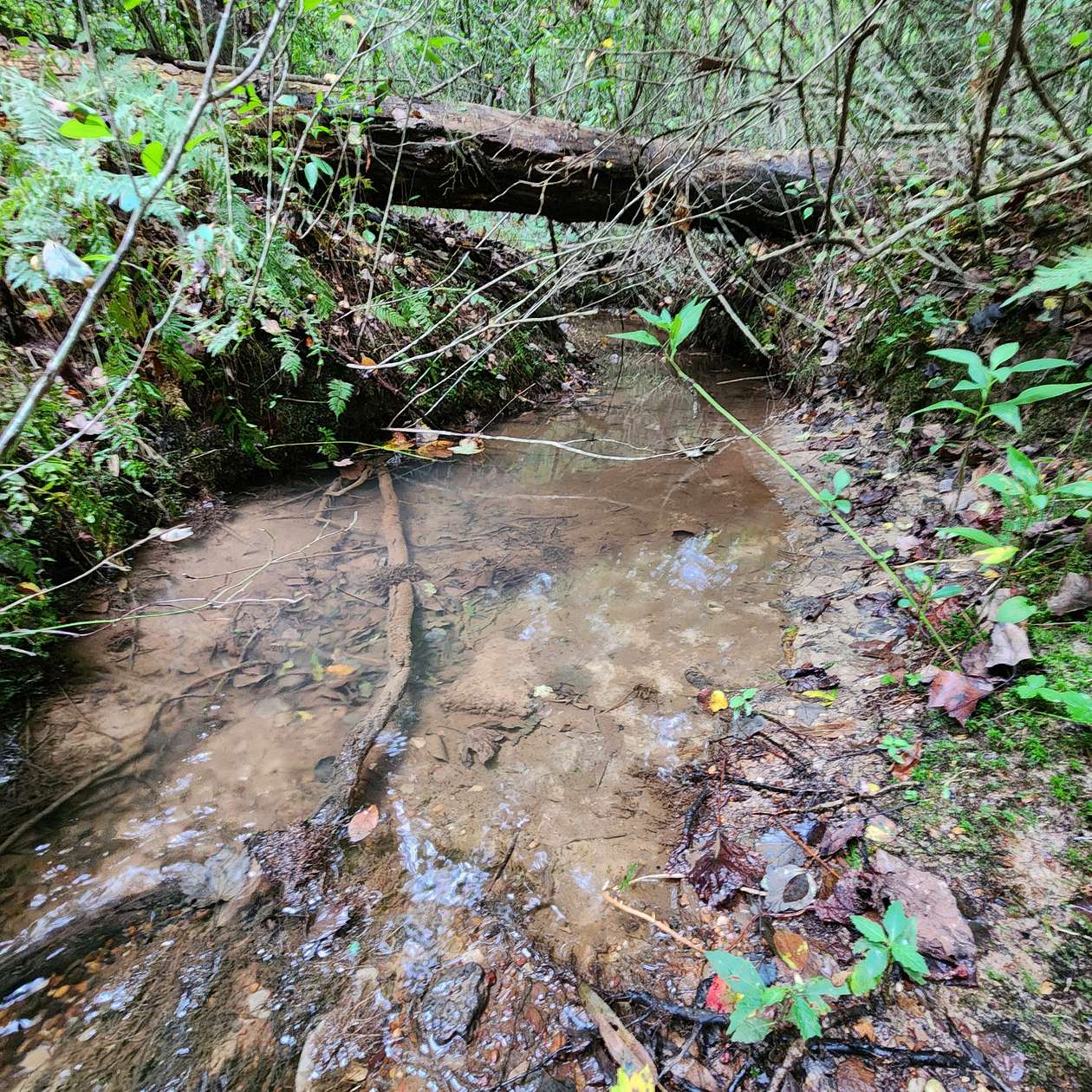 6 Acres of Residential Land for Sale in Gruetli-Laager, Tennessee
