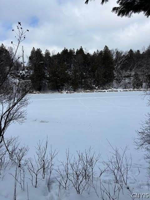 0.28 Acres of Land for Sale in Chaumont, New York
