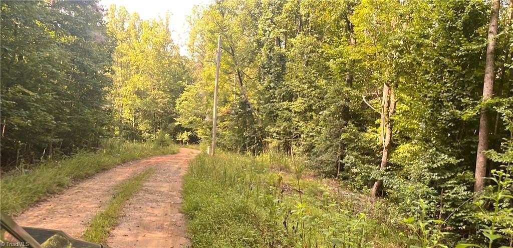 19 Acres of Land for Sale in Westfield, North Carolina