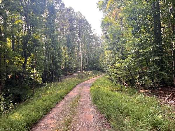 19 Acres of Land for Sale in Westfield, North Carolina