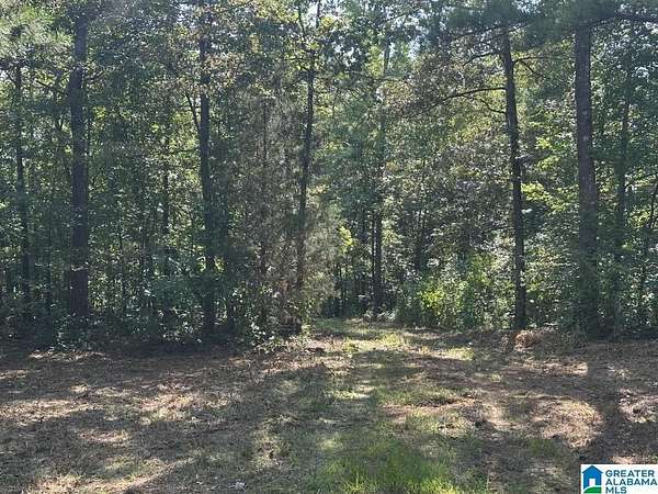 6.2 Acres of Residential Land for Sale in Riverside, Alabama