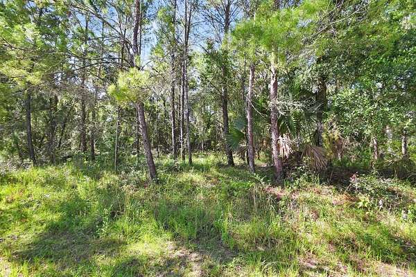 2.5 Acres of Residential Land for Sale in DeLand, Florida