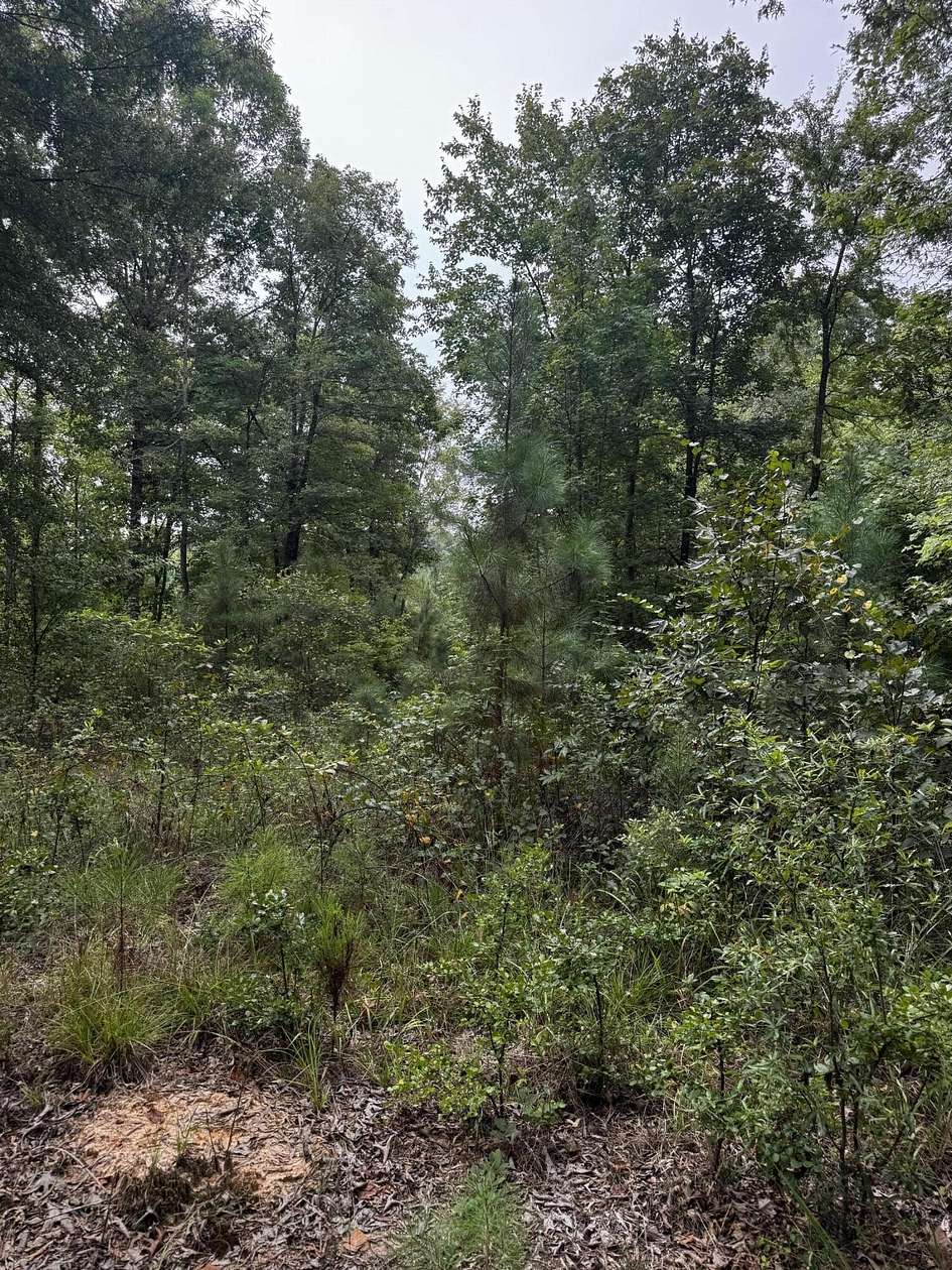12.1 Acres of Recreational & Residential Land for Sale in Saluda, South Carolina