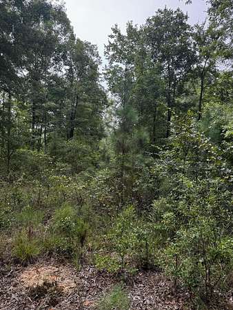 12.1 Acres of Recreational & Residential Land for Sale in Saluda, South Carolina