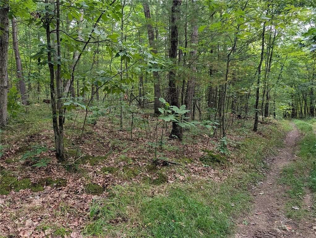 28.6 Acres of Recreational & Residential Land for Sale in Elmira, New York