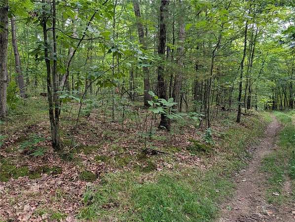 28.6 Acres of Recreational & Residential Land for Sale in Elmira, New York