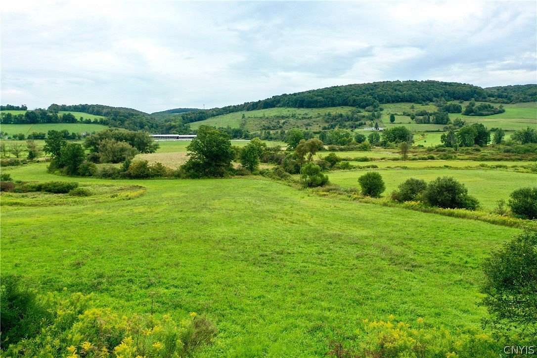 161 Acres of Land for Sale in Truxton, New York