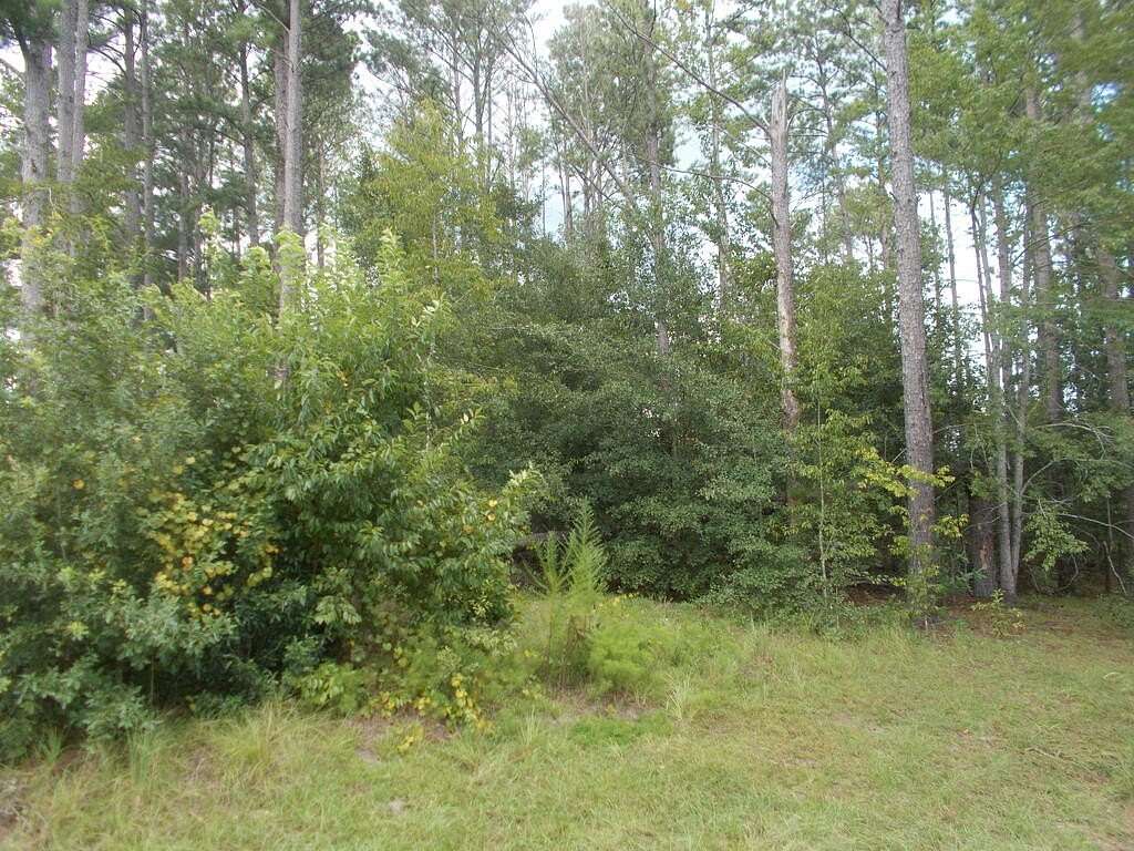 0.5 Acres of Land for Sale in Douglas, Georgia