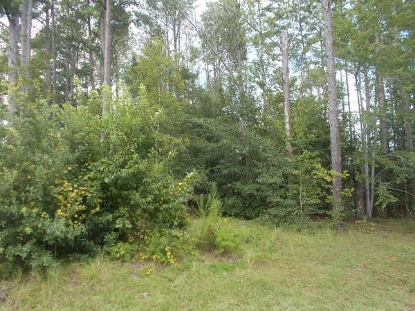 0.5 Acres of Land for Sale in Douglas, Georgia