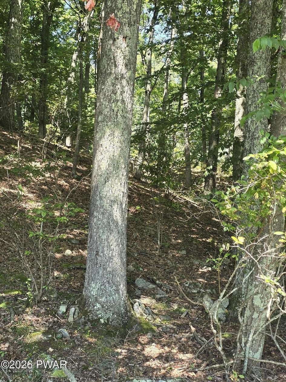 0.25 Acres of Residential Land for Sale in Dingmans Ferry, Pennsylvania