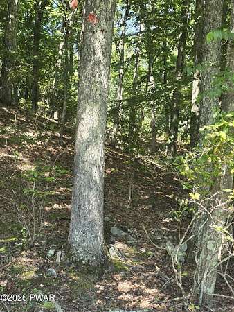 0.25 Acres of Residential Land for Sale in Dingmans Ferry, Pennsylvania