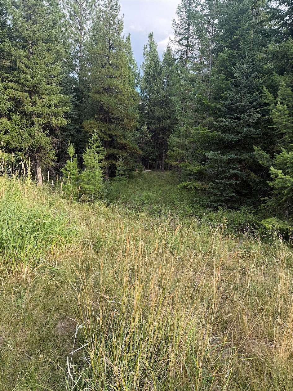 5.22 Acres of Residential Land for Sale in Kila, Montana